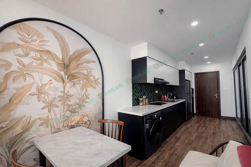 1-bedroom furnished apartment in Ngu Hanh Son