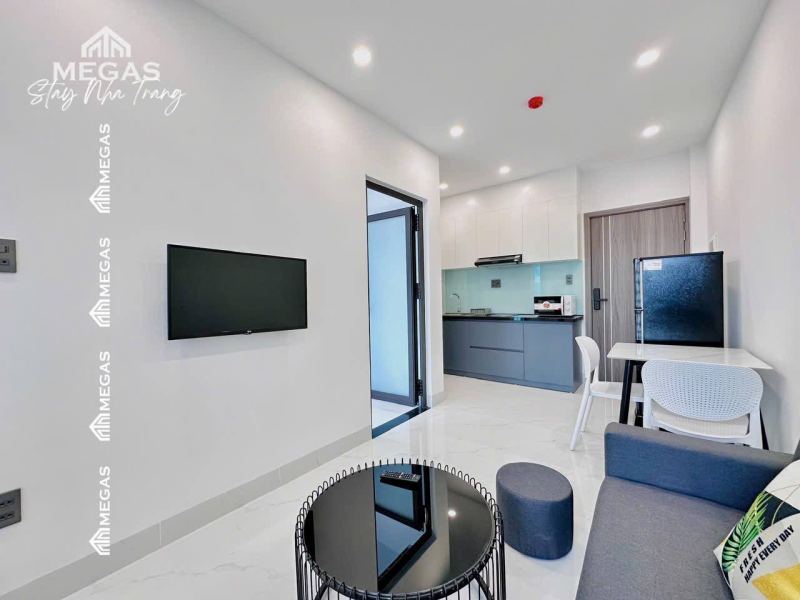 1BR Apartment on Doan Tran Nghiep Street