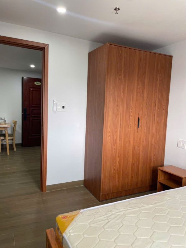 1-bedroom apartment on Doan Khue street