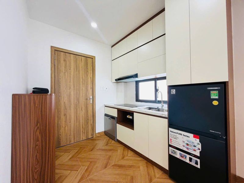 1-Bedroom Apartment in Phuoc Hai