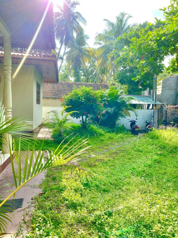 Shared room in Unawatuna coliving villa