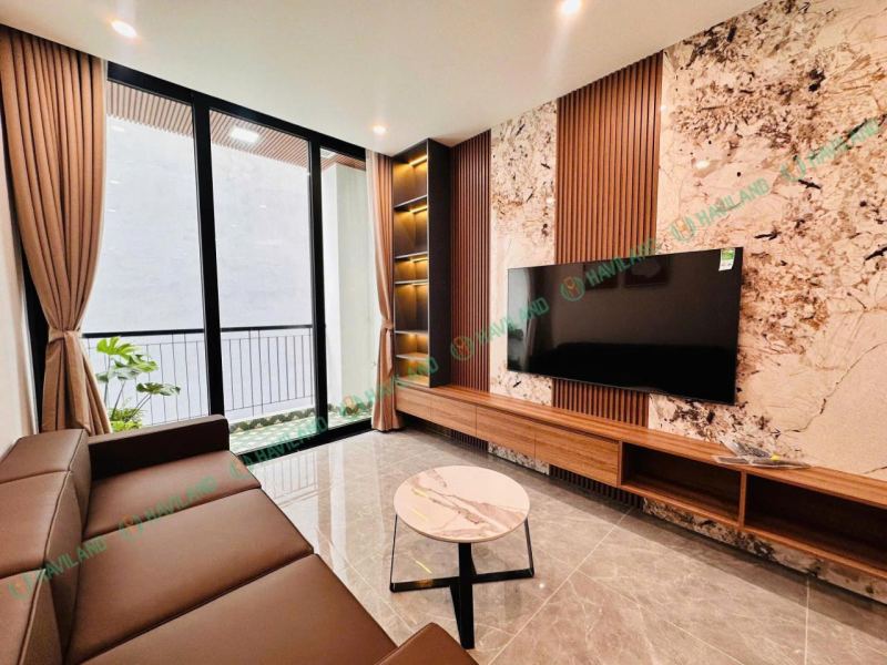 1BR Apartment in Hai Chau near Lotte Mart