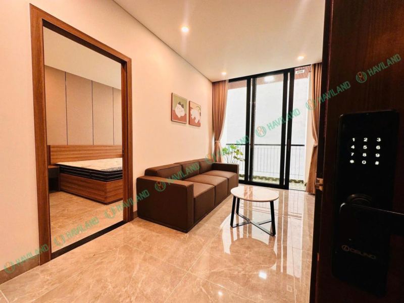 1BR Apartment in Hai Chau near Lotte Mart