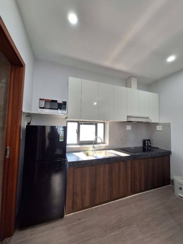 1-Bedroom Apartment in Son Tra