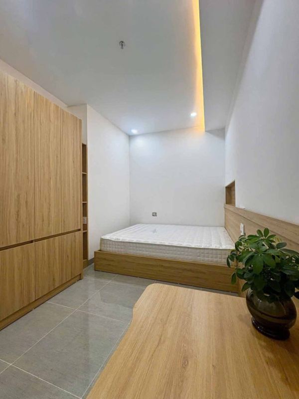 1-bedroom apartment in My An, Da Nang