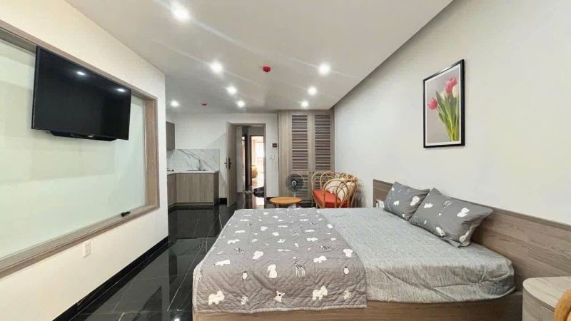 Studio Apartment in My An, An Thuong 3