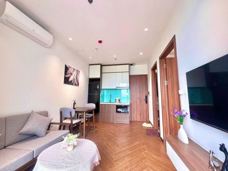 1 Bedroom Apartment in Khue My