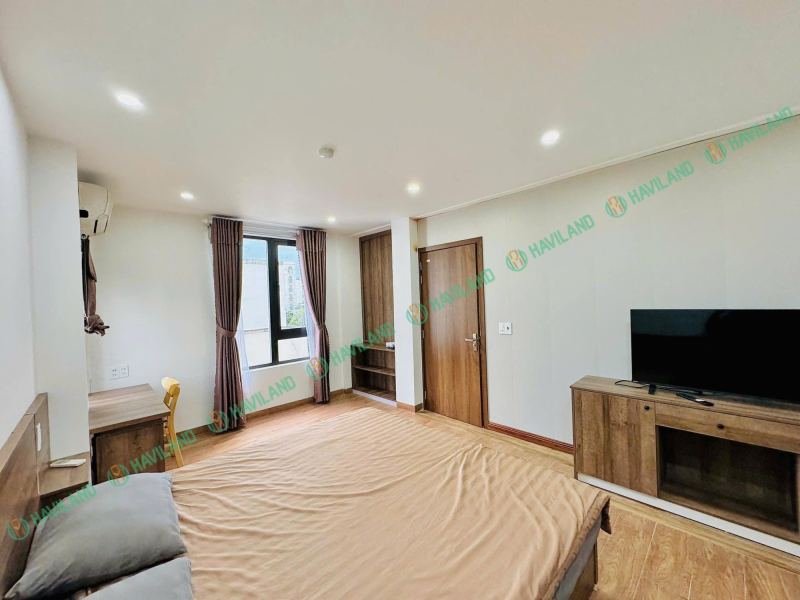 1 BR Apartment on Hoang Ke Viem Street