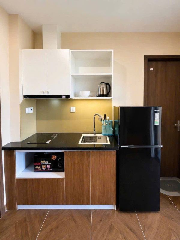 Brand New 1 Bedroom Apartment in Ngu Hanh Son