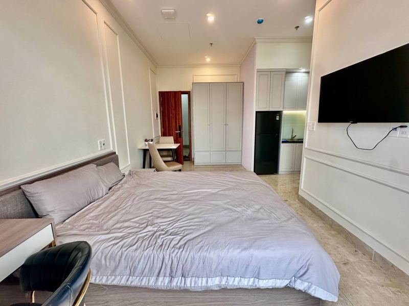 Penthouse Studio Apartment on Phuoc Truong 12