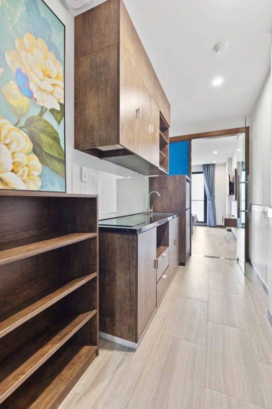 1-Bedroom Apartment in My An