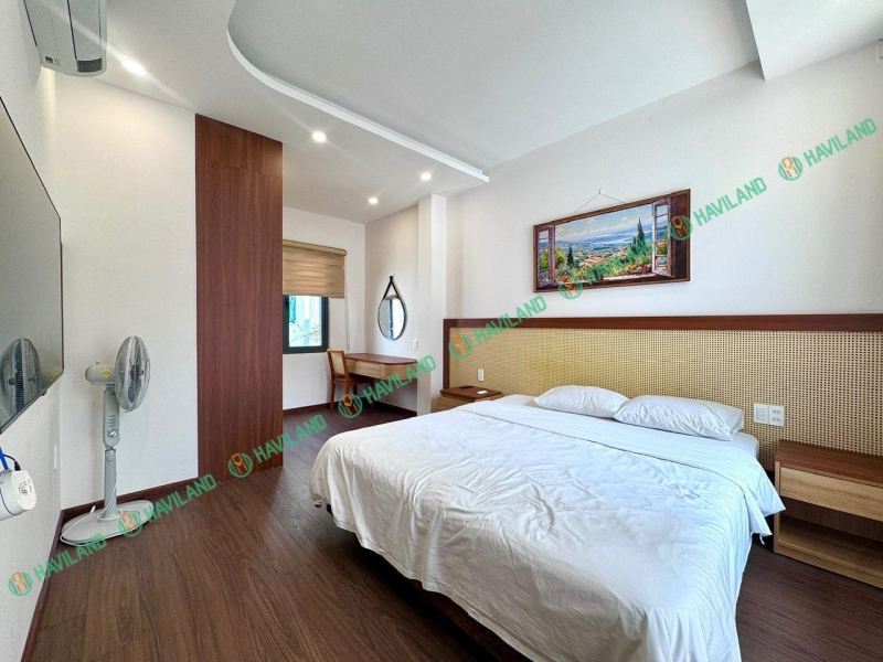 1BR Apartment in Hoa Hai