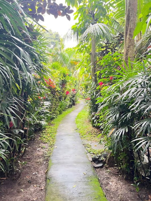 1-bedroom house in Ubud