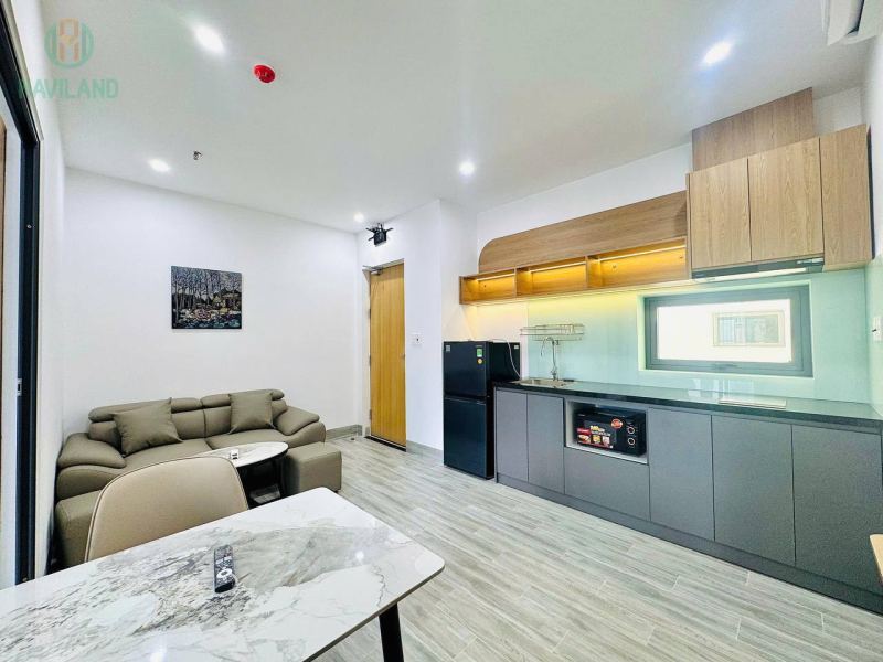 1 Bedroom Penthouse Apartment in Khue My