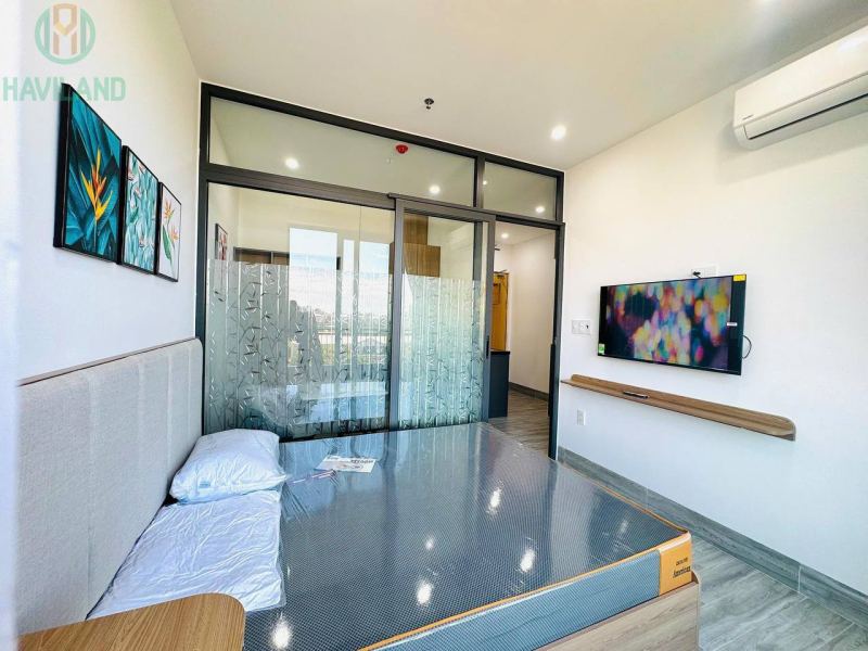 1 Bedroom Apartment in Khue My Dong