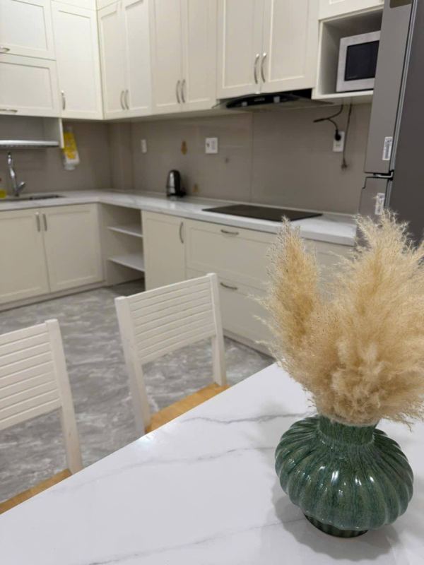 Fully Furnished Studio Apartment on Bui Phung