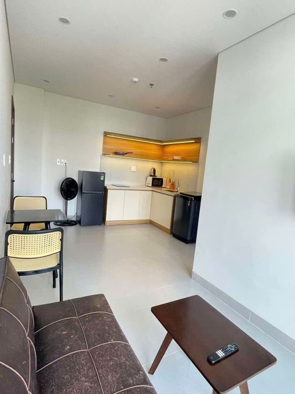 1 Bedroom Apartment in Son Tra