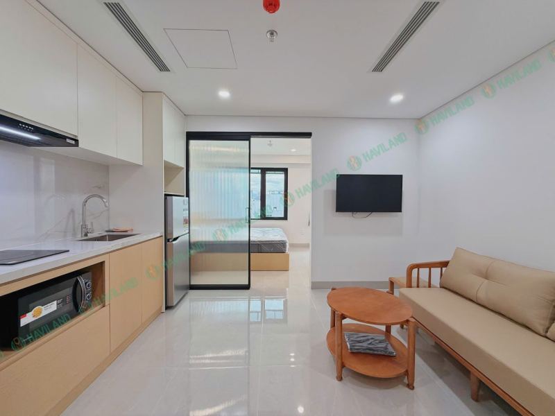 1 Bedroom Apartment in Son Tra