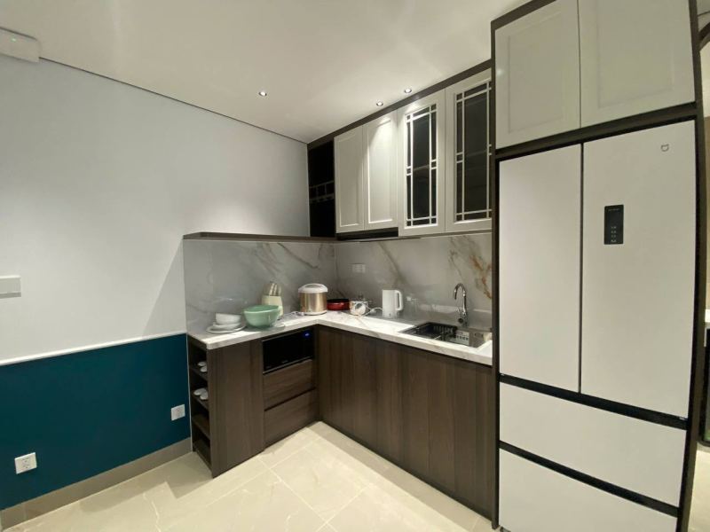 1-bedroom apartment in Phuoc Hai
