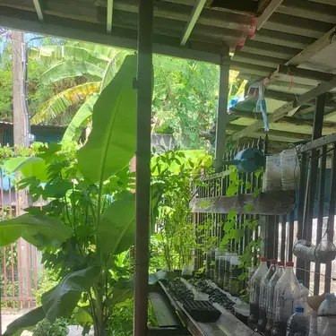 Room in Maphrao Khu