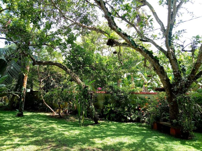 1-Bedroom Apartment in Unawatuna