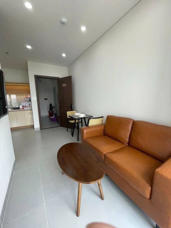 Modern 1BR Apartment on Truong Quyen Street