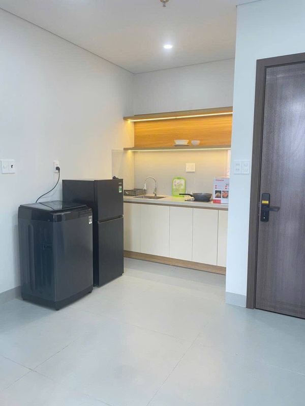 Modern 1BR Apartment on Truong Quyen Street