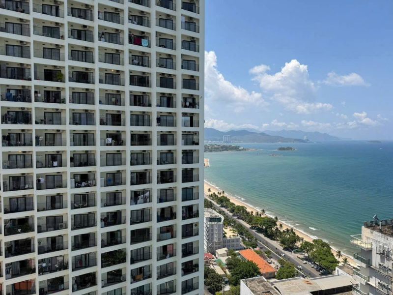 51 sqm Studio in Gold Coast (15M)