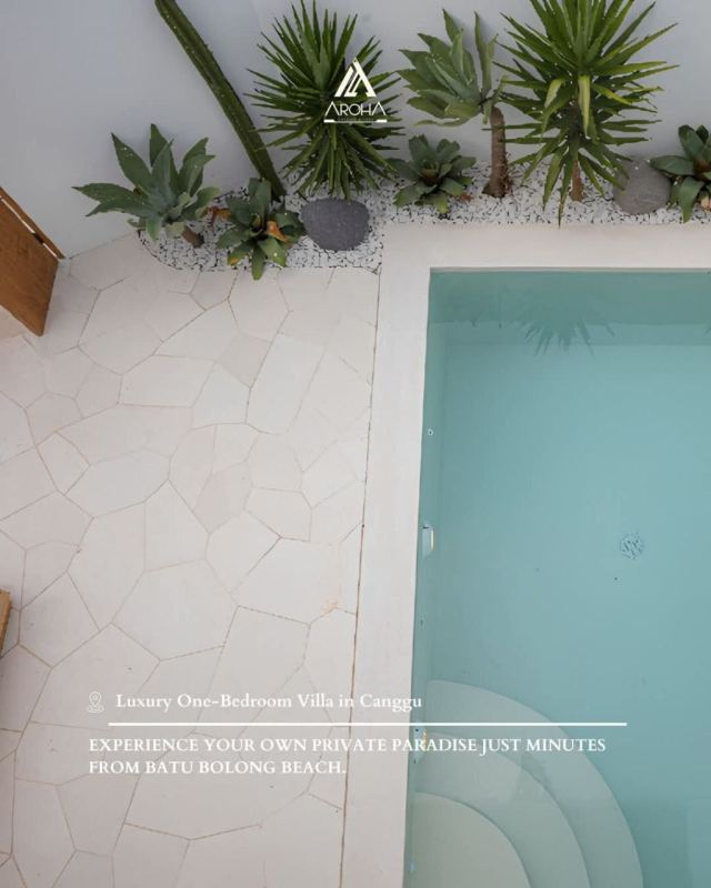 1 Bedroom Villa in Canggu
