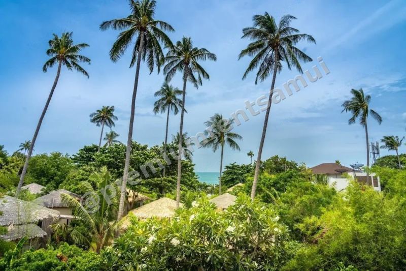 1-Bedroom Villa with Pool in Bophut, Koh Samui