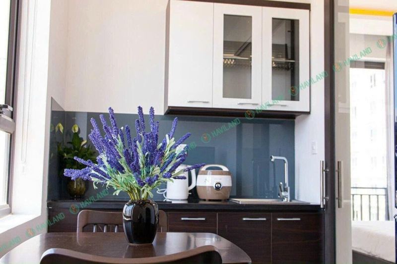Studio Apartment in My An, An Thuong 37