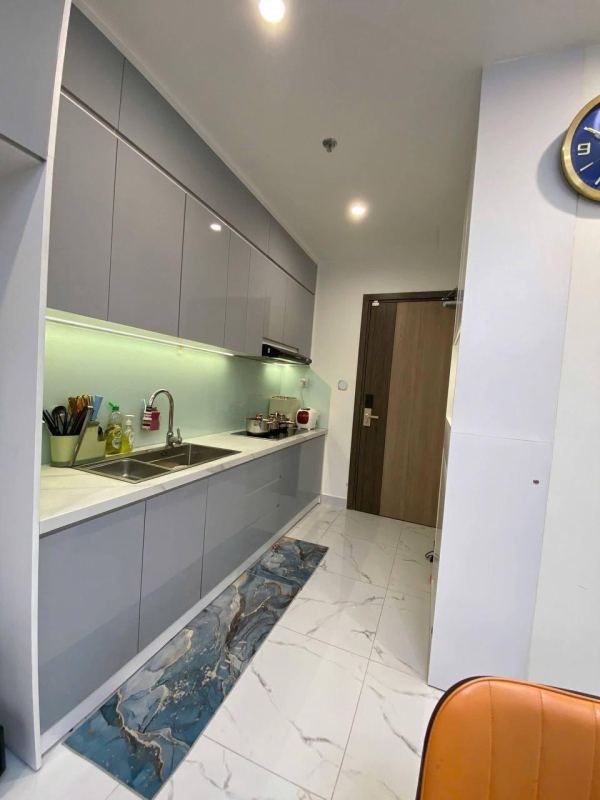 2-Room Apartment in Ho Chi Minh City