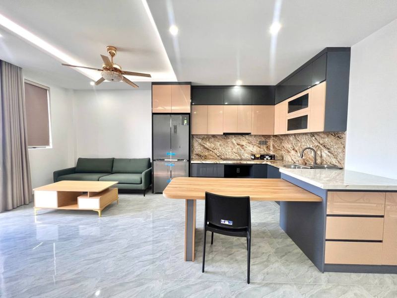 Brand New 1-Bedroom Penthouse in Phuoc Hai