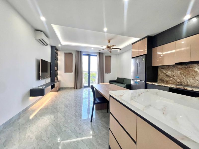 Brand New 1-Bedroom Penthouse in Phuoc Hai