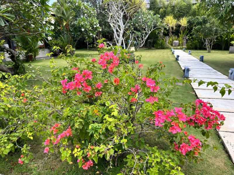 2 Bedroom Villa in Pererenan