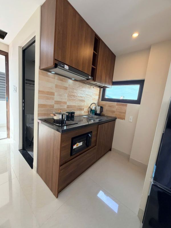 Brand New Penthouse Room 601
