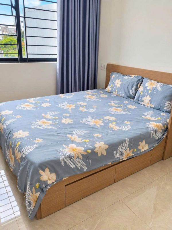 1-bedroom apartment in Do Ba Street, Room 202