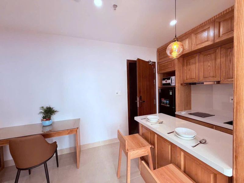 1BR Apartment in Son Tra