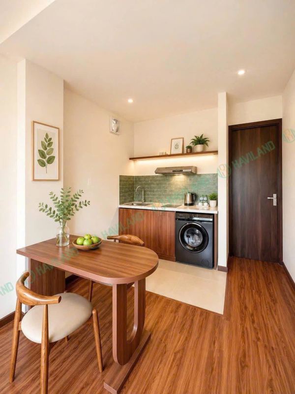 1-bedroom apartment on Vo Nguyen Giap street
