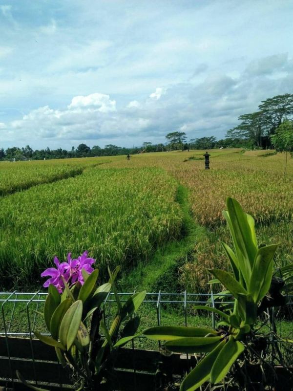 Дом с 2 спальнями в Gianyar