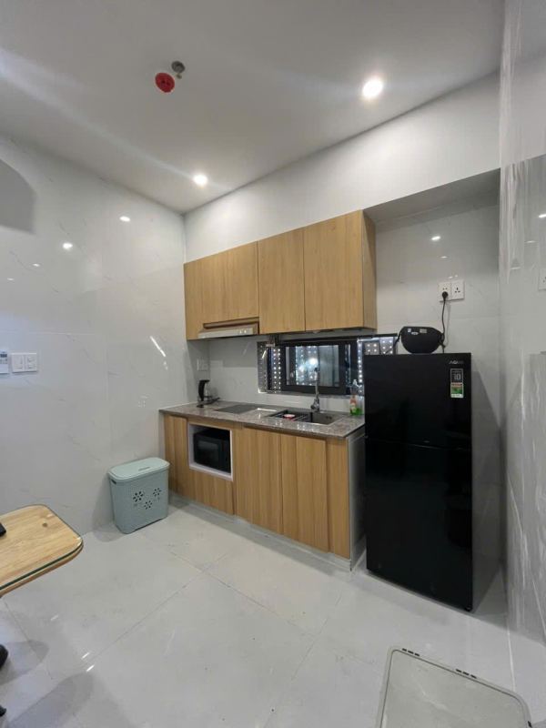 1BR Apartment for Rent in Son Tra