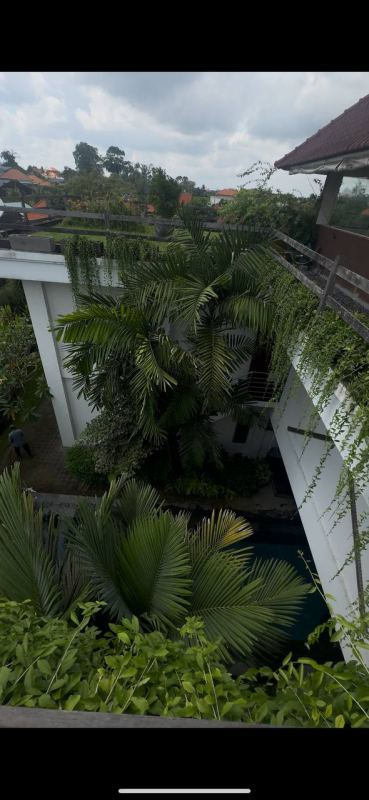 Rice Field View Apartment Bali