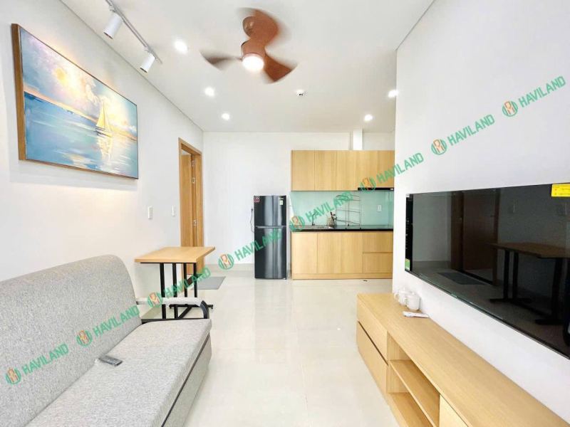 1 Bedroom Apartment Near Dragon Bridge in Da Nang