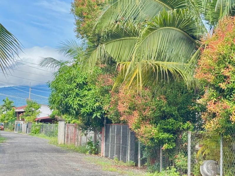 2BR Khmer Villa House in Prey Tnot Village