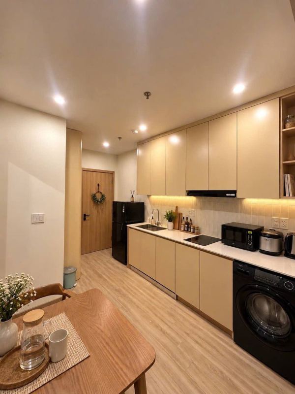 1BR Apartment in My An near River